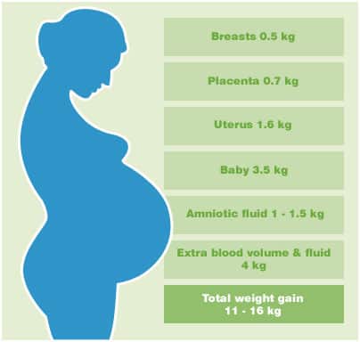 Pregnancy Diaries: Expected Weight gain in Pregnant Women